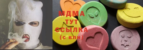 МДПВ Бородино
