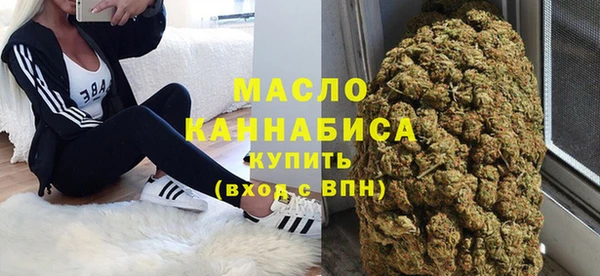 МДПВ Бородино