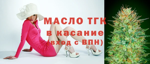 МДПВ Бородино