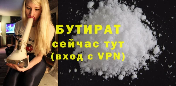 МДПВ Бородино