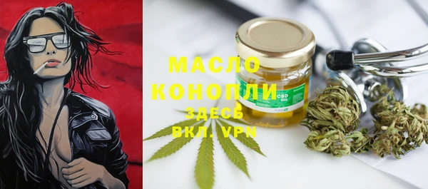 МДПВ Бородино