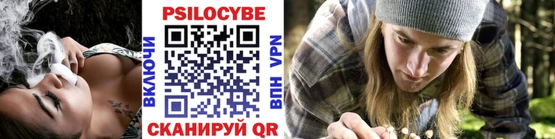 Галлюциногенные грибы мицелий hydra ссылки Горнозаводск